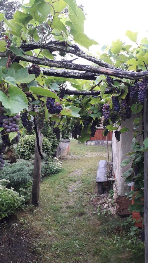 Idilliska Latgaliesu Lauku Maja Ar Melno Pirti Βίλα Aglona Εξωτερικό φωτογραφία